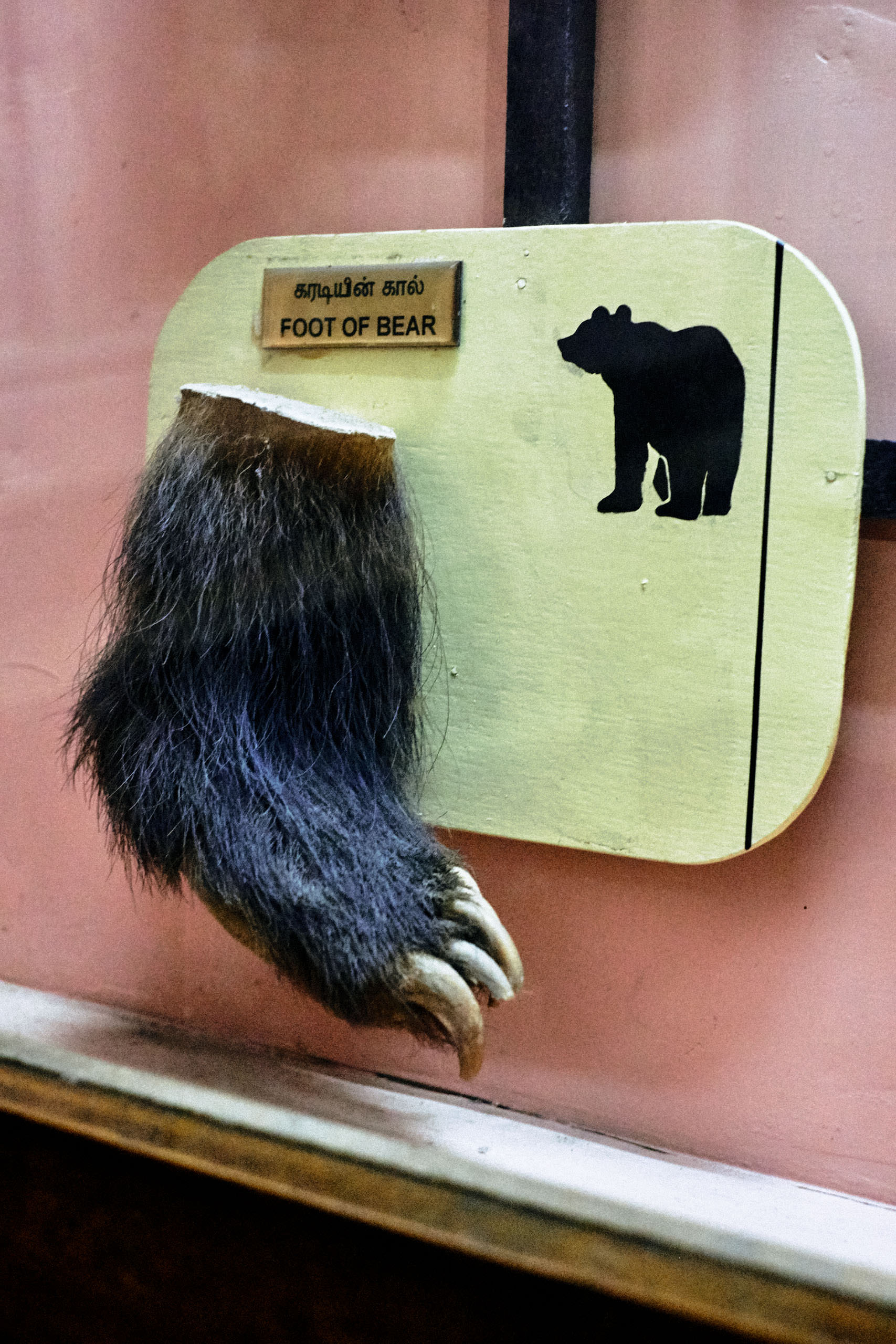 Government Art Museum Chennai